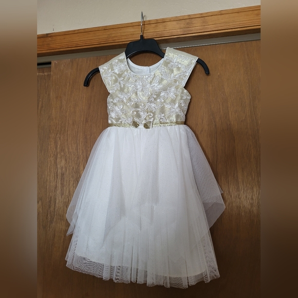 Jona Michelle Other - Jona Michelle girls formal/holiday dress size 5